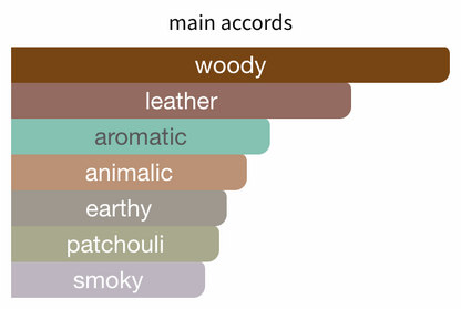 Gucci Guilty Absolute