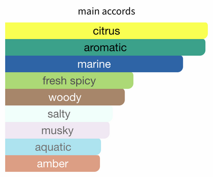 D&G Light Blue Intense