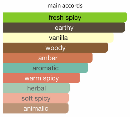 Bad Boy Cobalt Elixir